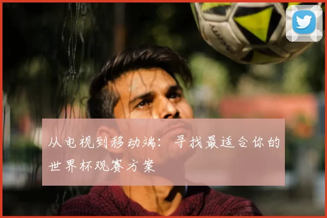 从电视到移动端:寻找最适合你的世界杯观赛方案
