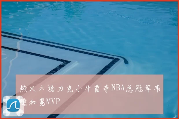 热火六场力克小牛首夺NBA总冠军韦德加冕MVP