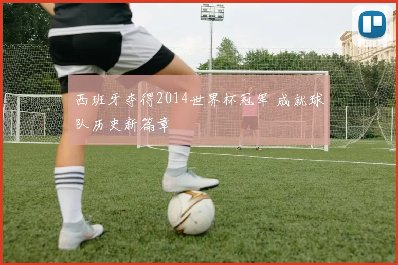 西班牙夺得2014世界杯冠军 成就球队历史新篇章
