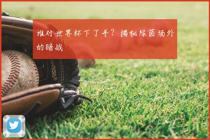 谁对世界杯下了手？揭秘绿茵场外的暗战