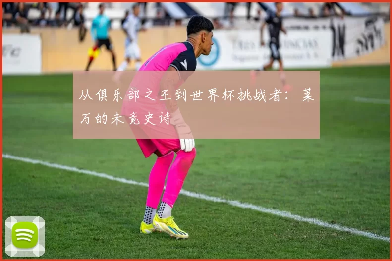 从俱乐部之王到世界杯挑战者：莱万的未竟史诗