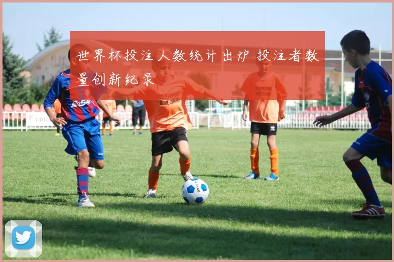 世界杯投注人数统计出炉 投注者数量创新纪录