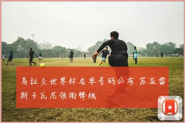 乌拉圭世界杯名单号码公布 苏亚雷斯卡瓦尼领衔锋线