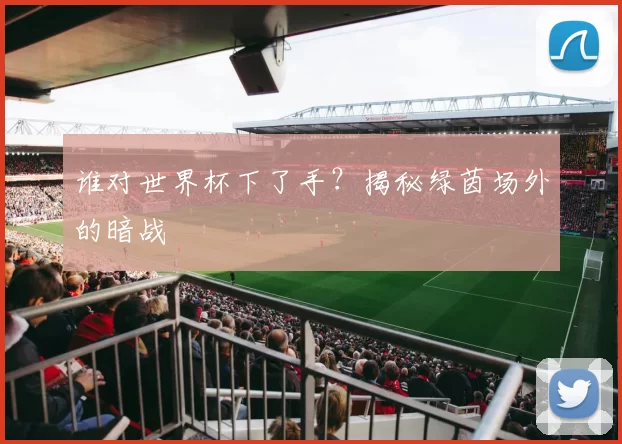 谁对世界杯下了手？揭秘绿茵场外的暗战