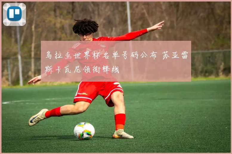乌拉圭世界杯名单号码公布 苏亚雷斯卡瓦尼领衔锋线