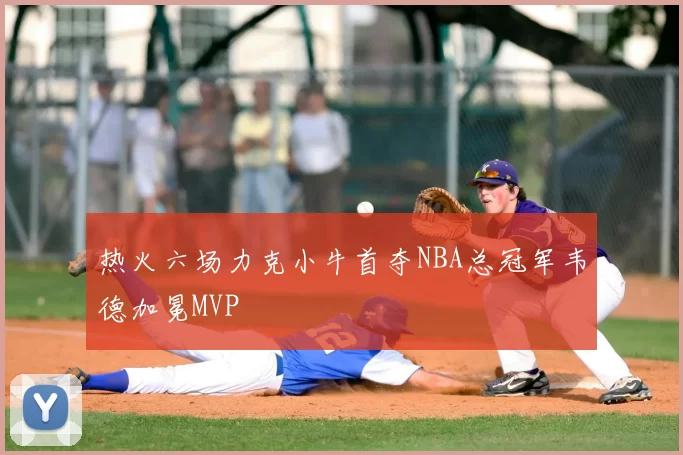 热火六场力克小牛首夺NBA总冠军韦德加冕MVP