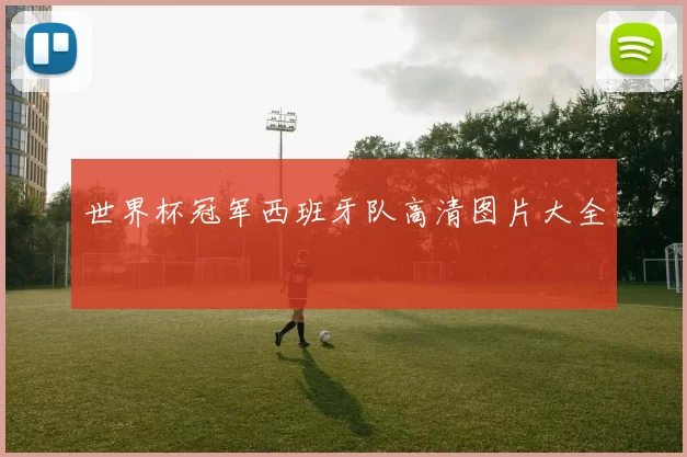 世界杯冠军西班牙队高清图片大全