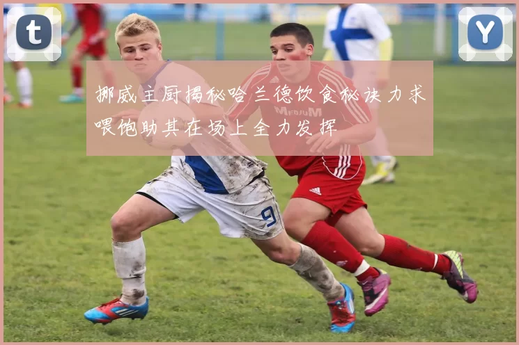 挪威主厨揭秘哈兰德饮食秘诀力求喂饱助其在场上全力发挥