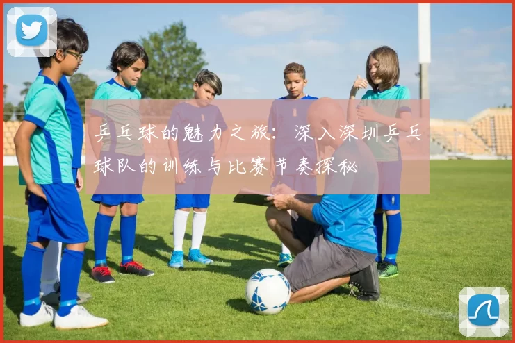 乒乓球的魅力之旅：深入深圳乒乓球队的训练与比赛节奏探秘