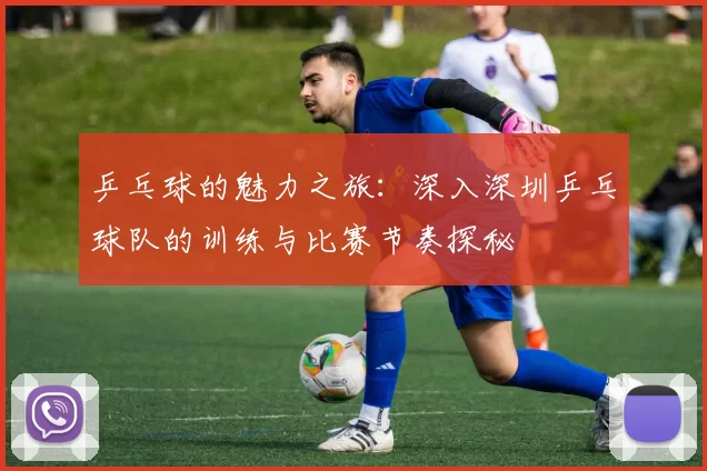 乒乓球的魅力之旅：深入深圳乒乓球队的训练与比赛节奏探秘