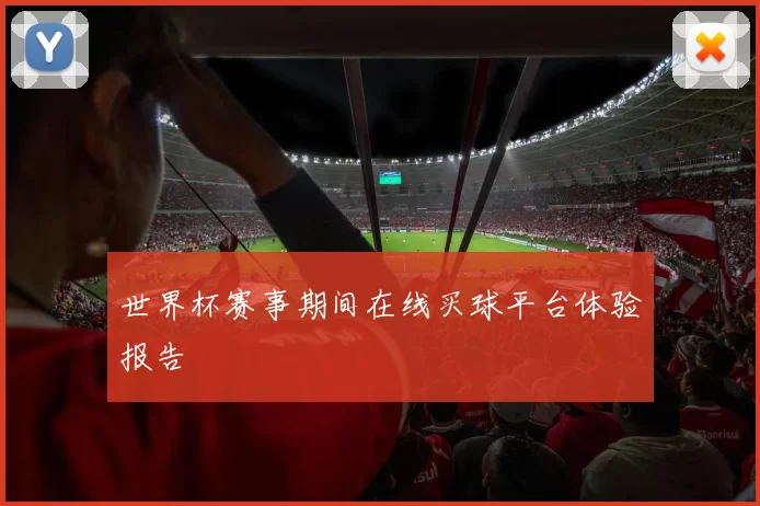 世界杯赛事期间在线买球平台体验报告